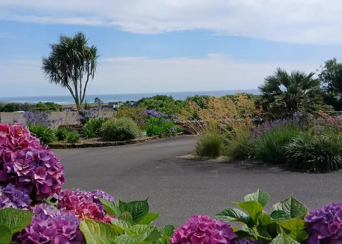 Les Hortensias De Papy